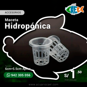 Maceta Hidropónica