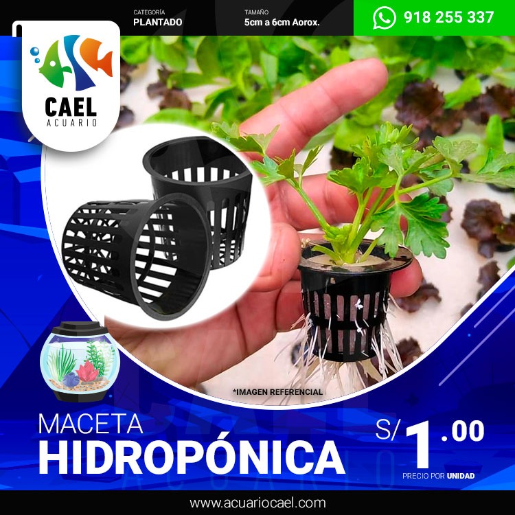 maceta-hidroponica-1sol