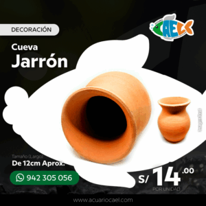 Jarrón