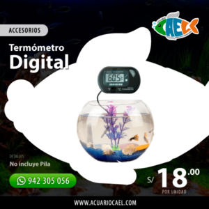 Termómetro Digital