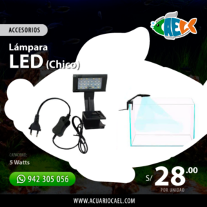 Luz Led Clip (X2-200)