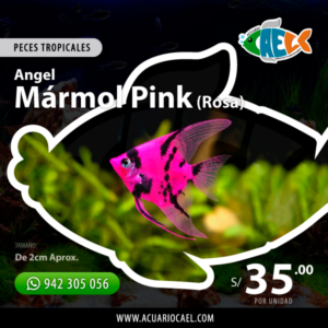 Angel Mármol Pink (Rosa)